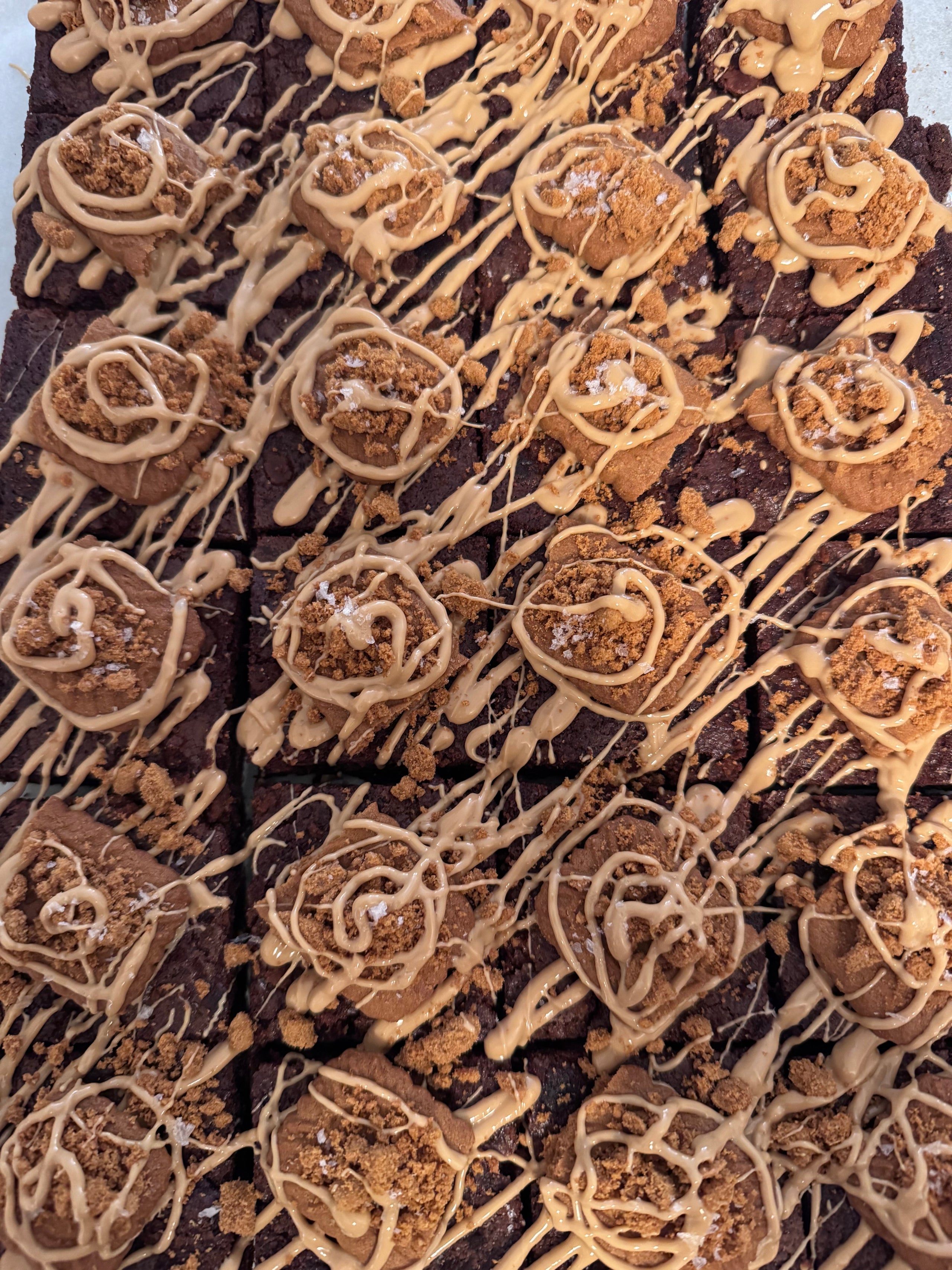 Salted Caramel Biscoff Brownies